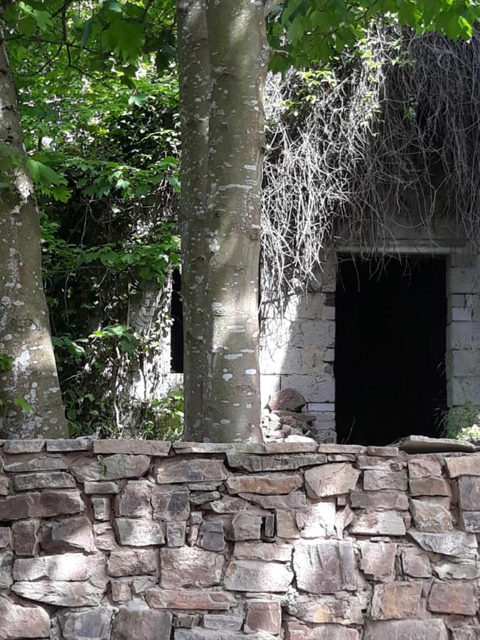 Linde2 Villa Horperath Bagian luar foto